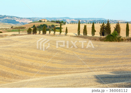 Tuscany sunrise countryside, Italy Tuscany sunrise countryside, Italy 36008112