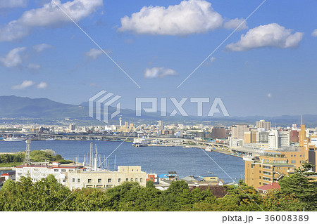 函館の街並み　元町公園からのながめ 36008389