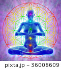 Meditation - flower of life 36008609