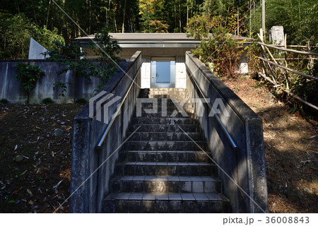 群馬県高崎市 世界記憶遺産 石碑群「上野三碑」 金井沢碑 36008843