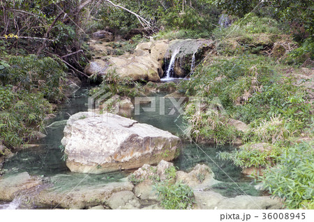 The river in park Soroa. Cuba. 36008945