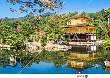 京都　世界遺産　金閣寺 36009320