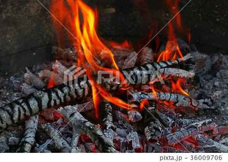 Blaze of bonfire wood fire flame spires fireplace 36009706