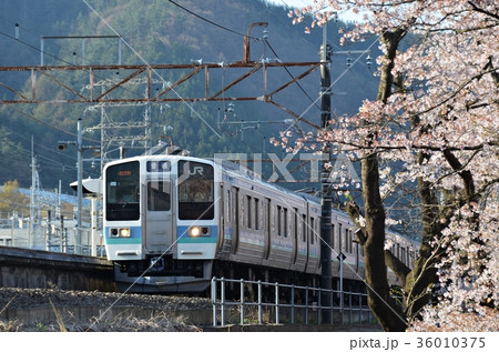 桜満開の勝沼ぶどう郷駅を発車する普通列車の写真素材