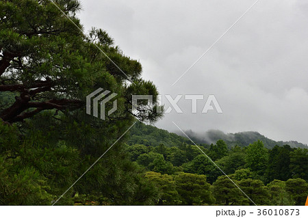 修学院離宮　田園風景 36010873