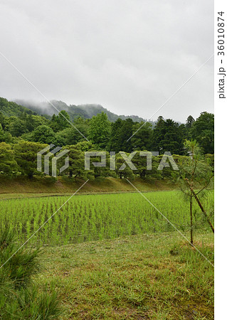 修学院離宮　田園風景 36010874