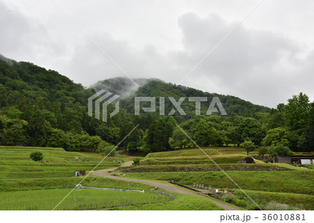 修学院離宮　田園風景 36010881