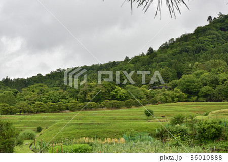 修学院離宮　田園風景 36010888
