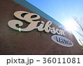 ギブゾンギターファクトリー 36011081
