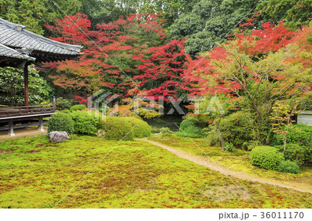 随心院 随心院 36011170