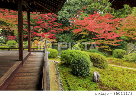 随心院 随心院 36011172