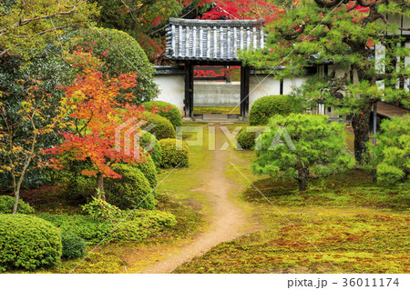 随心院 随心院 36011174