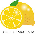 レモン 36011518
