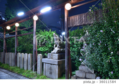 夜の摩利支尊天堂の狛猪 夜の摩利支尊天堂の狛猪 36011584