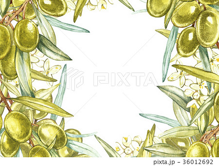 Horizontal banners with ripe black and green 36012692