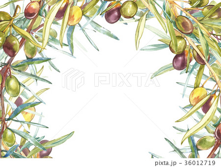 Horizontal banners with ripe black and green Horizontal banners with ripe black and green 36012719