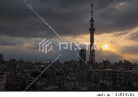 TokyoSkyTree 36014565