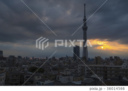 TokyoSkyTree TokyoSkyTree 36014566
