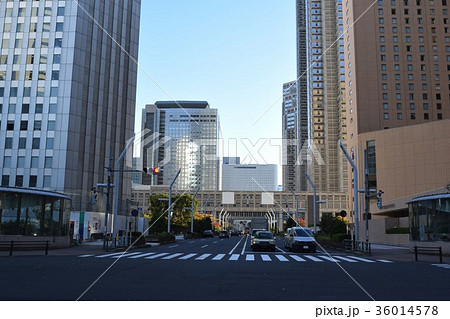 都庁前の街並み 都庁前の街並み 36014578