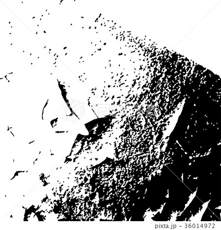 Grunge black textures on white background 36014972