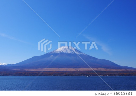 薄っすらとした雪化粧の富士山 36015331