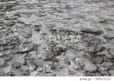 A beach with a sandy bottom with corals. 36015527