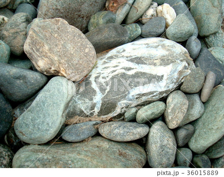 Gray dry pebbles lie scattered on the shore 36015889