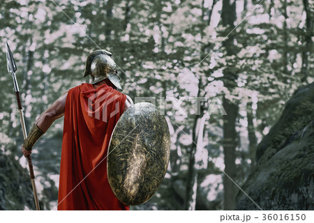 Spartan warrior in the woods Spartan warrior in the woods 36016150