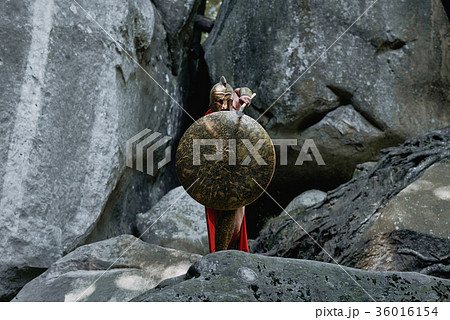 Spartan warrior in the woods 36016154