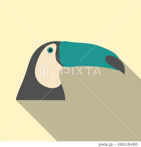 brazilian toucan bird nature brazilian toucan bird nature 36016480