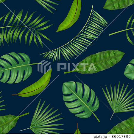 Realistic Detailed Green Leaves of Plants 36017396