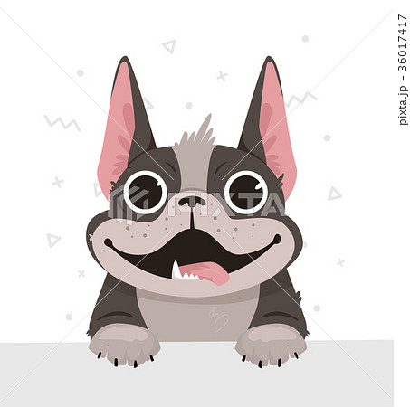 Illustration of a French bulldog in a flat style 36017417