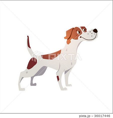Cheerful dog has cracked on a white background. Cheerful dog has cracked on a white background. 36017446
