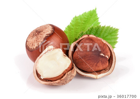 Hazelnuts with leaves isolated on white background 36017700