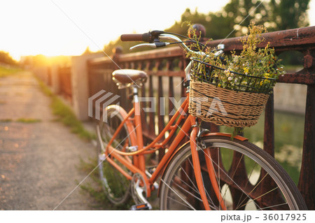 Beautiful bicycle with flowers in a basket Beautiful bicycle with flowers in a basket 36017925