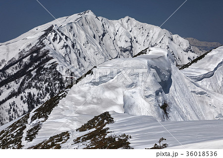 爺ヶ岳稜線の雪庇と鹿島槍ヶ岳 爺ヶ岳稜線の雪庇と鹿島槍ヶ岳 36018536
