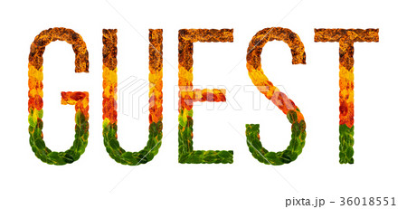 word guest written with leaves white isolated word guest written with leaves white isolated 36018551