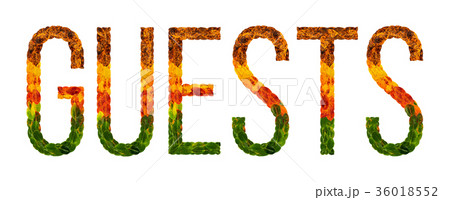 word guests written with leaves white isolated 36018552