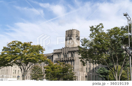 京都市役所 36019139