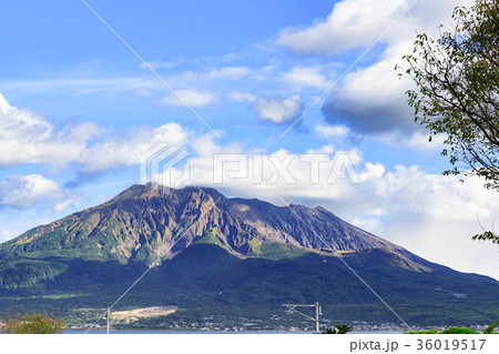 鹿児島仙巌園からの桜島 36019517