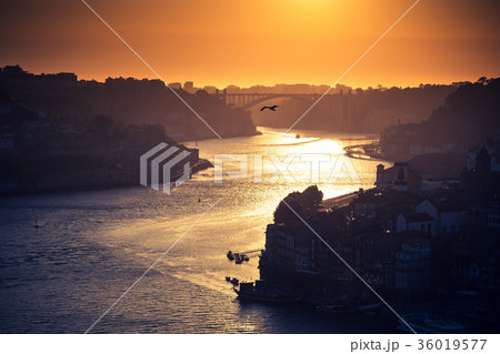 hill with old town of Porto at sunset close up 36019577