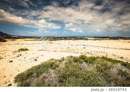 The coast of Atlantic ocean near town Orzola The coast of Atlantic ocean near town Orzola 36019743