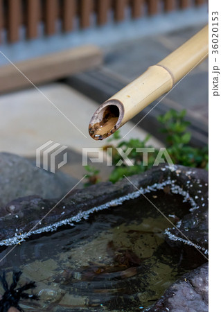 つくばい 36020153