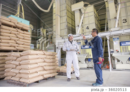 精米工場 36020513