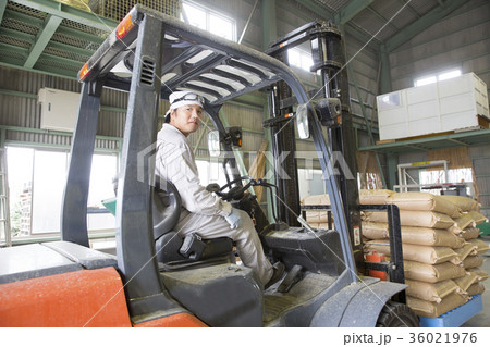 精米工場で働く男性 精米工場で働く男性 36021976