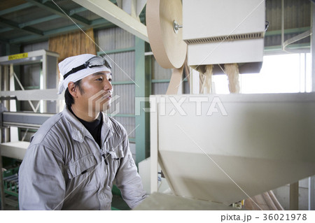 精米工場で働く男性 精米工場で働く男性 36021978