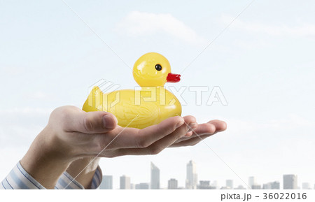 Duck in hand Duck in hand 36022016