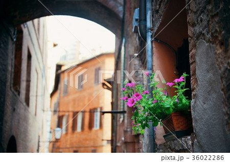 Siena street archway 36022286