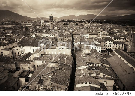 Lucca rooftop view with mountain 36022398