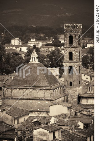 Lucca clock tower 36022447
